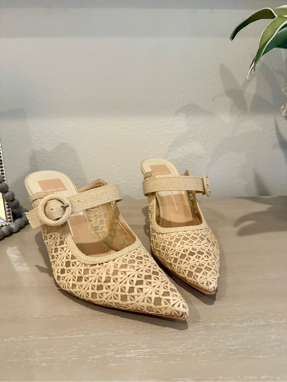 Dolce Vita KEEKEE Woven Raffia Pointed-Toe Heels